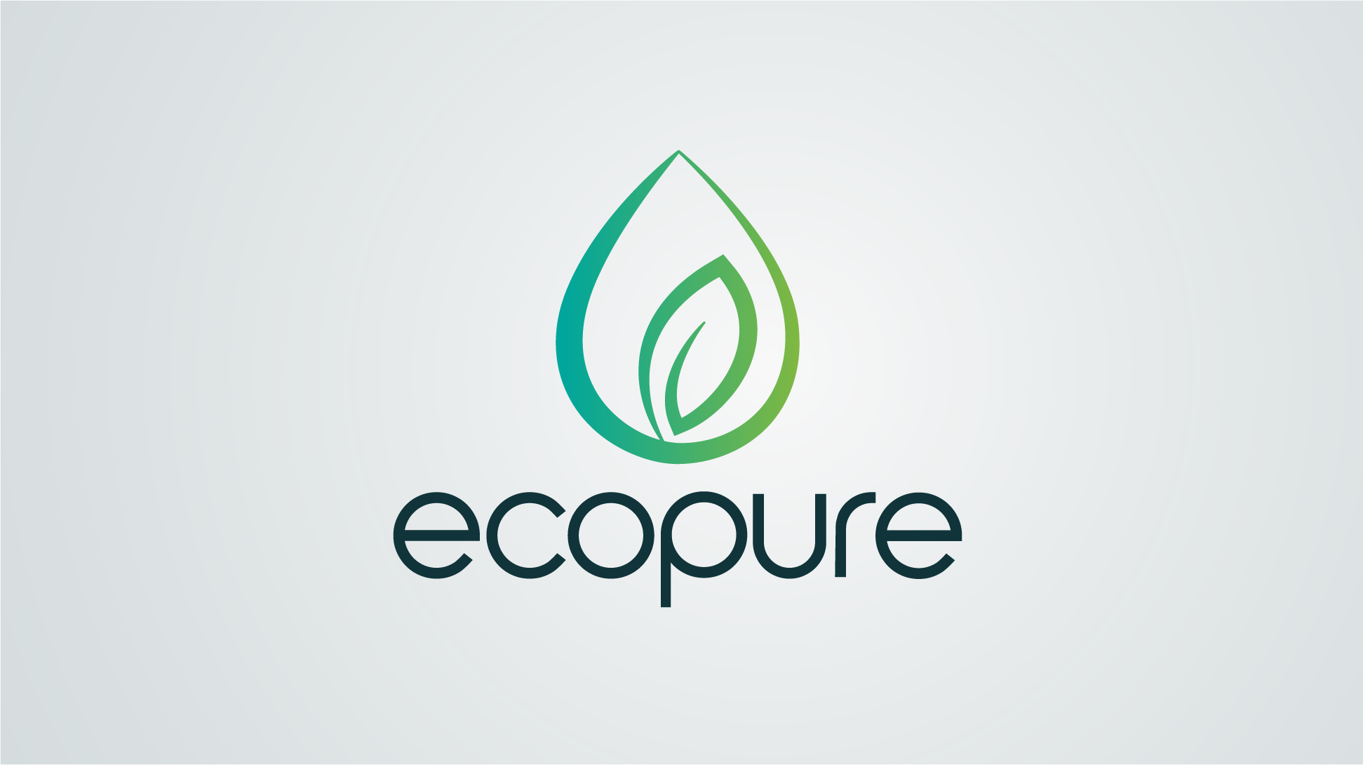 Design 2 for Ecopure